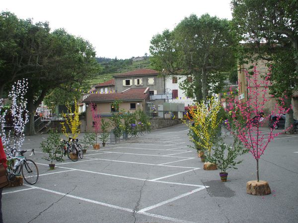 DSCF8931.JPG