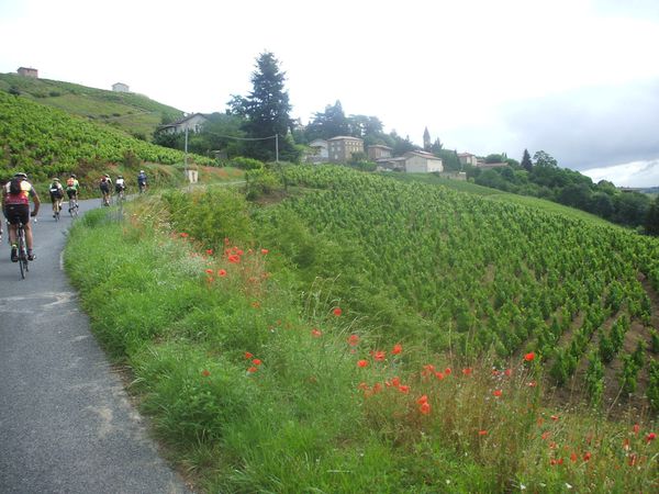 DSCF9330.JPG