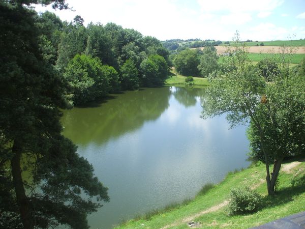 DSCF9645.JPG