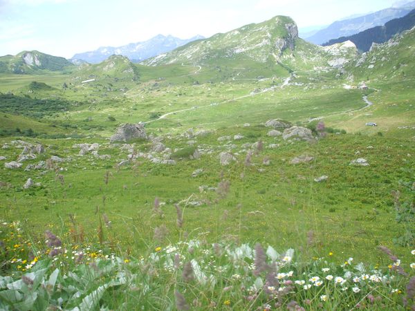 DSCF9790.JPG
