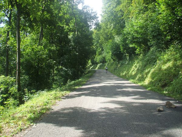 DSCF0133.JPG