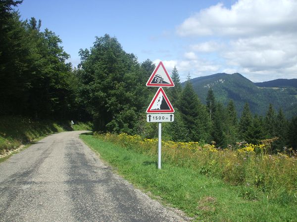 DSCF0160.JPG