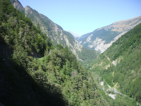 DSCF0377.JPG