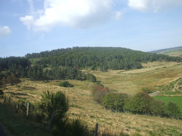 DSCF0883.JPG