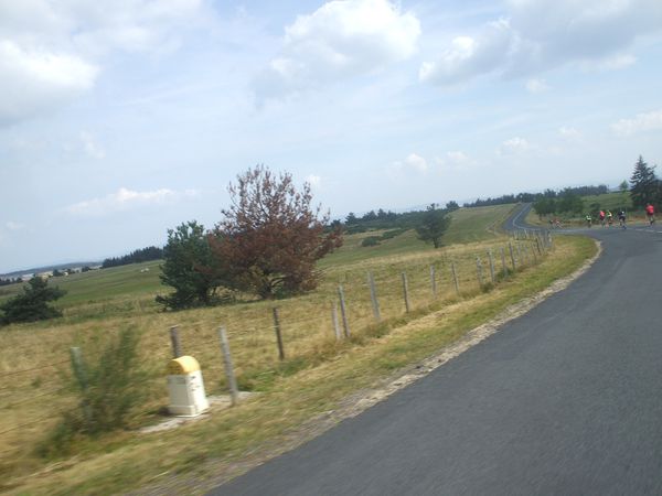DSCF0921.JPG