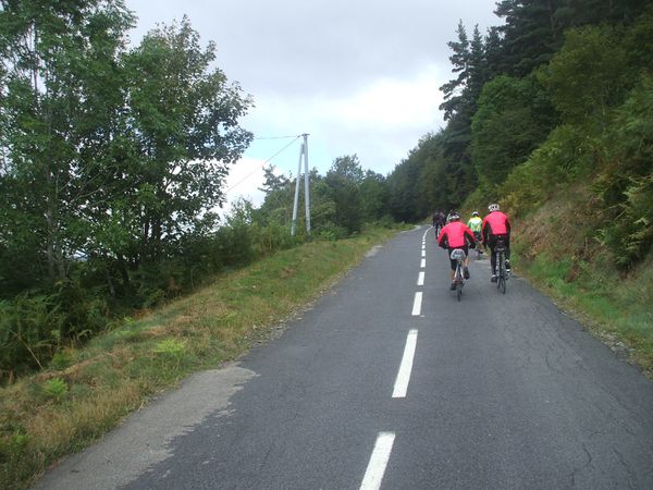 DSCF1222.JPG
