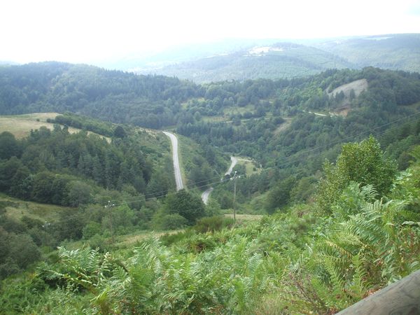 DSCF1235.JPG