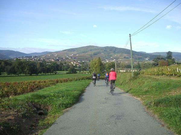 DSCF1861.JPG