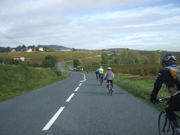 DSCF1880.JPG