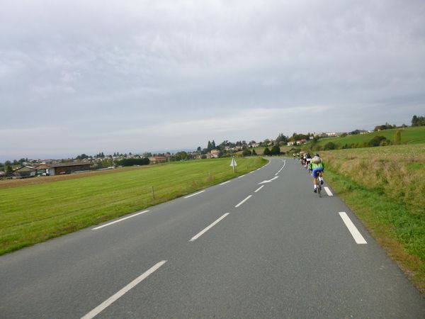 P1000394.jpg