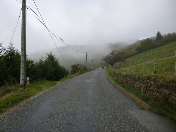 P1000493.jpg