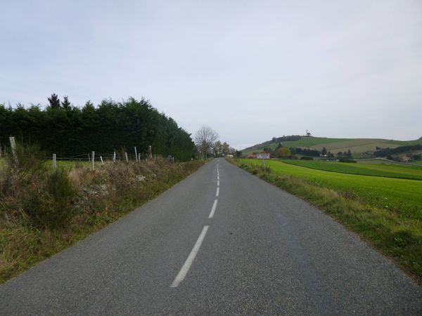 P1000533.jpg