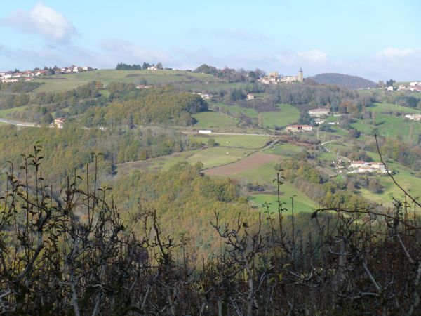 P1000710.JPG