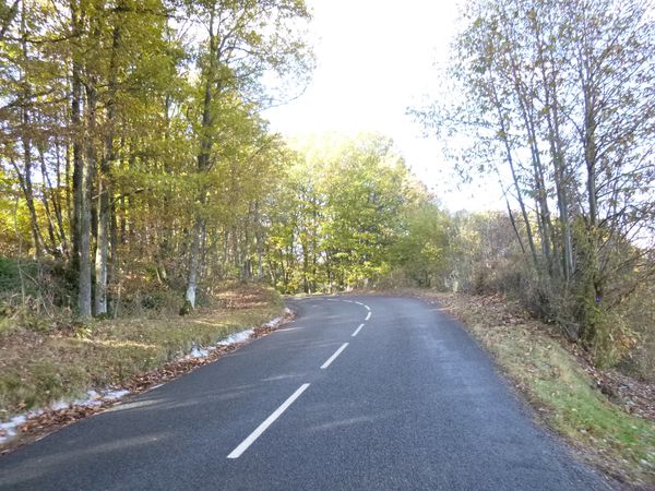 P1000712-copie-1.JPG