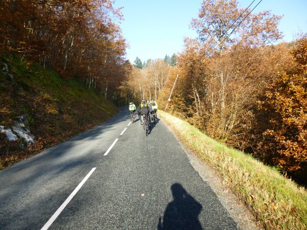 P1000876.JPG