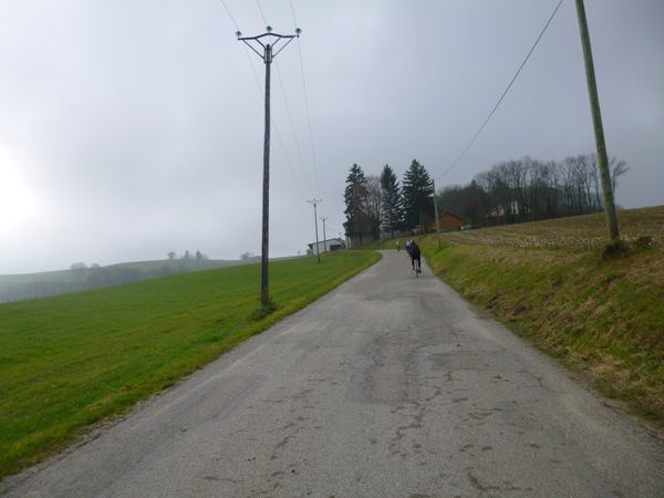 P1010051.JPG