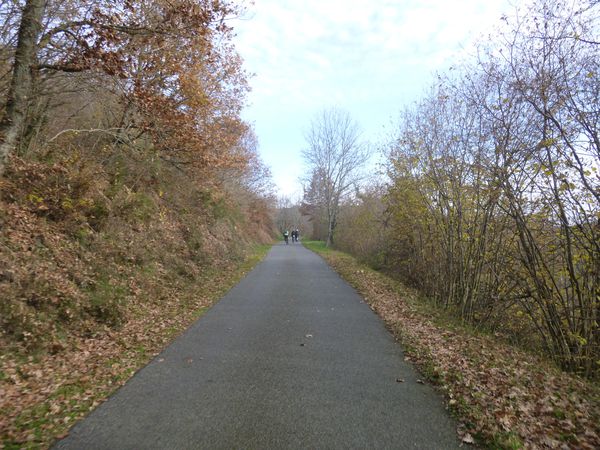 P1010156.JPG
