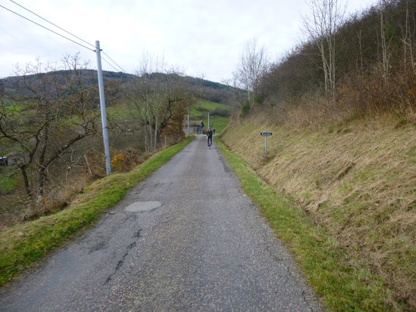 P1010170.JPG