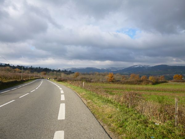 P1010307.JPG