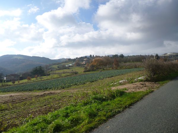 P1010318.JPG