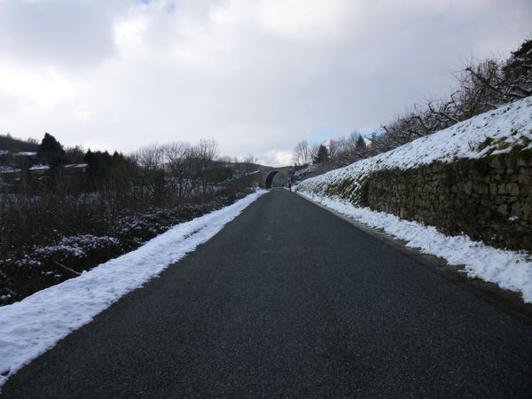 P1010331.JPG