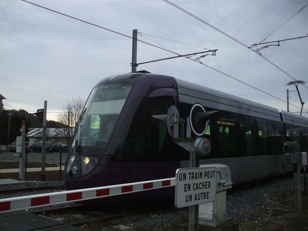 DSCF2105.JPG