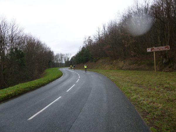 P1000035.jpg