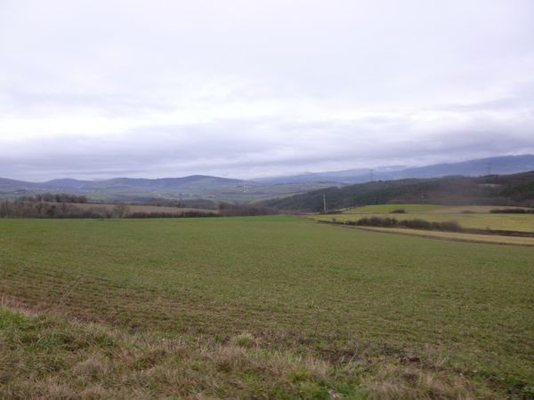 P1000038.jpg