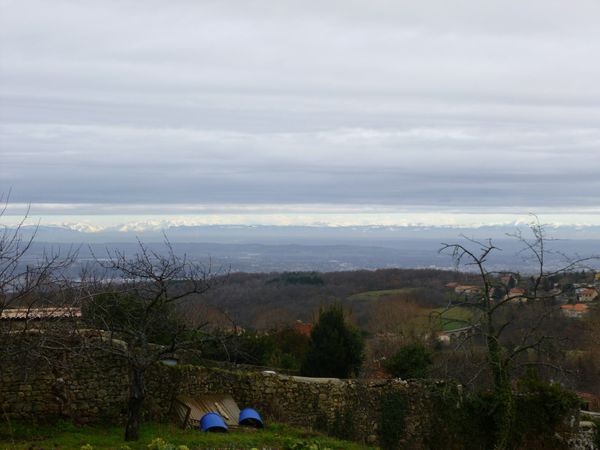 P1000085.jpg