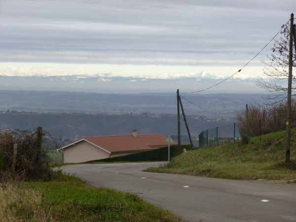P1000109