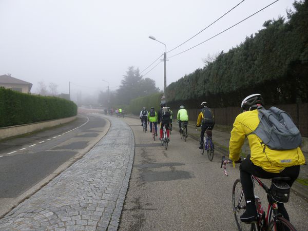 P1000191.jpg