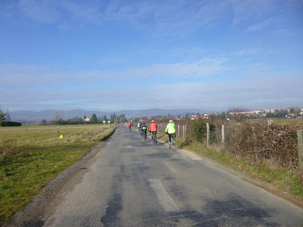 P1000240.jpg