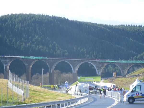 P1010762.jpg