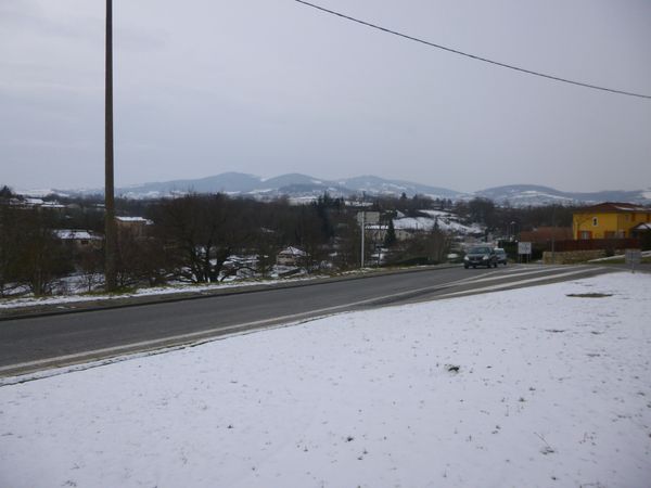 P1000605.JPG