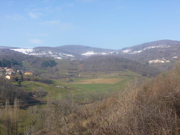 P1010082.jpg