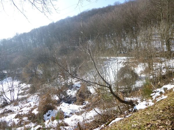 P1010105.jpg