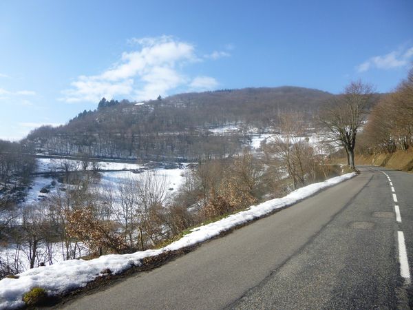 P1010110.jpg