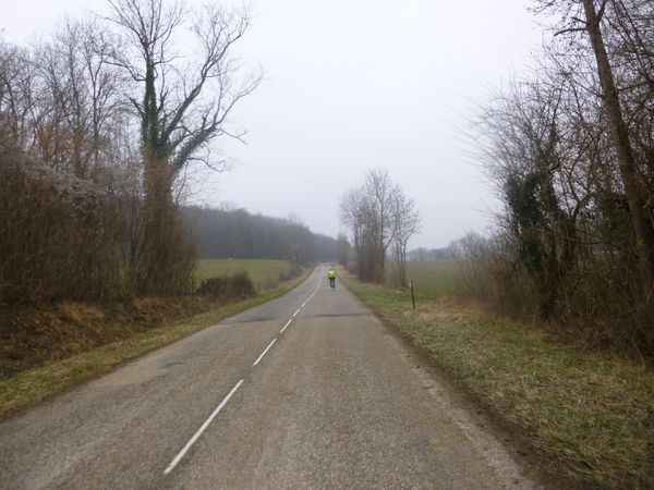 P1010371.jpg