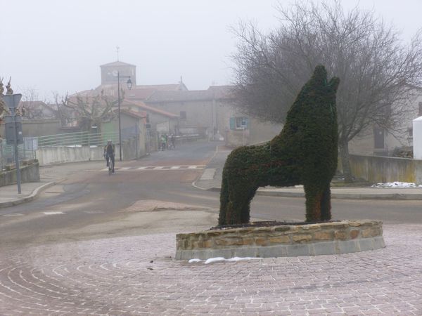 P1010475.jpg
