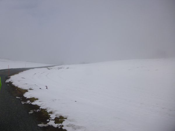 P1010534.jpg