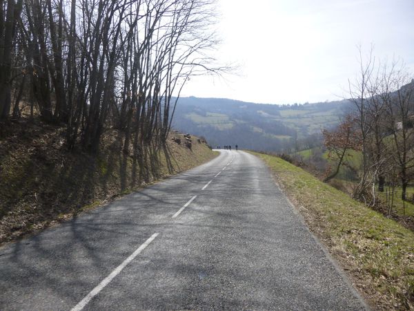 P1010987.jpg