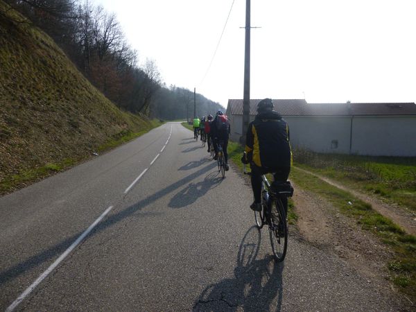 P1030204.jpg