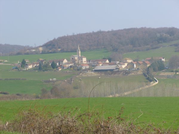 P1030236.jpg