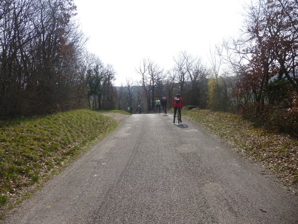 P1030259.jpg