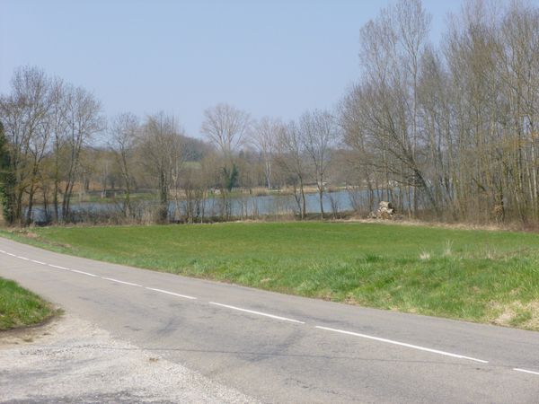 P1030293.jpg