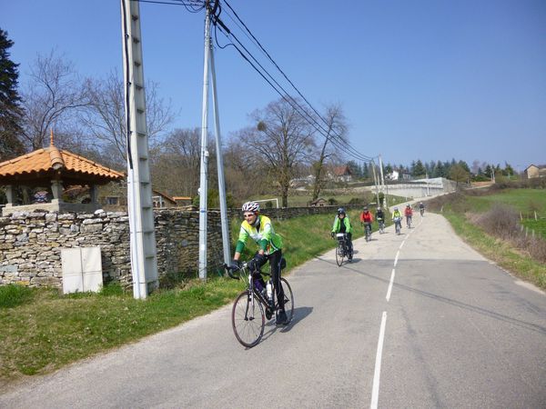 P1030340.jpg