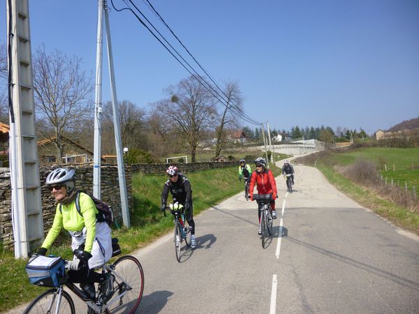 P1030341.jpg