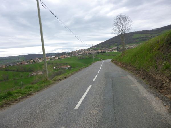 P1030800.jpg