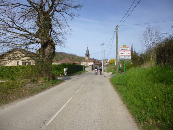 P1030929.jpg