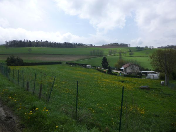 P1040714.JPG